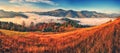 Majestic autumn rural scenery. Landscape with mountains with morning fog