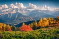 Majestic autumn scene of Upper Svaneti, Georgia, Europe.