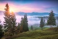 Majestic autumn scenery of foggy valley