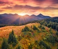Majestic autumn view from flying drone of Marishevska mountain valley with highest Carpathian peak - Hoverla. Royalty Free Stock Photo