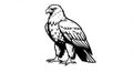 Majestic Bald Eagle in Black and White Vector Illustration Royalty Free Stock Photo