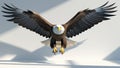 Majestic bald eagle in flight with fully extended wings against white background Royalty Free Stock Photo