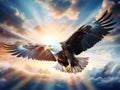 Majestic Bald Eagle Flying in the Clouds with sunrays