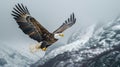 Majestic bald eagle flying over snow capped mountains with high speed, detailed realism