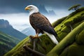 A majestic bald eagle perched on a moss-covered branch, surveying its forest domain