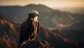 Majestic bald eagle perching on mountain peak generated by AI Royalty Free Stock Photo