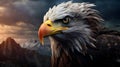 Majestic Bald Eagle Portrait Against Dramatic Mountain Landscape Royalty Free Stock Photo