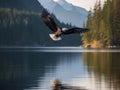 A majestic bald eagle soaring above a pristine lake created with Generative AI Royalty Free Stock Photo