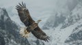 Majestic bald eagle soaring against snowcapped mountains in high definition flight, detailed realism
