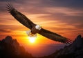 Majestic bald eagle soaring through a dramatic sunset sky isolated on white background Royalty Free Stock Photo