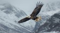 Majestic bald eagle soaring in flight with snowcapped mountains under dramatic overcast sky