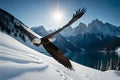 A majestic bald eagle soaring gracefully over a rugged, snow-capped mountain range