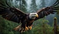 Majestic bald eagle soaring in nature tranquil blue skies generated by AI Royalty Free Stock Photo