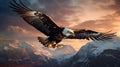 Majestic Bald Eagle Soaring Over Snow-Capped Mountains at Sunset Royalty Free Stock Photo
