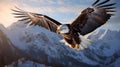 Majestic Bald Eagle Soaring Over Snowy Mountains Royalty Free Stock Photo