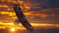 Majestic bald eagle soaring in photorealistic style against dramatic clouds and vibrant sunset Royalty Free Stock Photo
