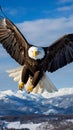 Majestic Bald Eagle Soaring Through Pristine Skies