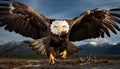 Majestic bald eagle soars freely over snowy mountain landscape generated by AI Royalty Free Stock Photo