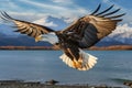 Bald Eagle Spreading Its Wings in Alaska