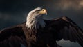 Majestic Bald Eagle Spreads Wings In Flight Generated By AI
