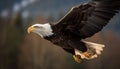 Majestic Bald Eagle Spreads Wings In Mid Air Generated By AI
