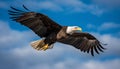 Majestic bald eagle spreads wings in mid air, soaring with freedom generated by AI Royalty Free Stock Photo