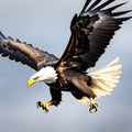 A majestic bald eagle swooping down from the sky.