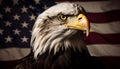 Majestic bald eagle, symbol of American pride generated by AI