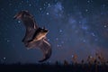 Majestic bat soaring at night under starry sky AI Royalty Free Stock Photo