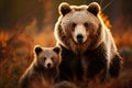 Majestic Big Bear Protectively Looking Over Cute Little Bear Cub in Natural Habitat Royalty Free Stock Photo