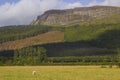 The majestic Binevenagh mountain summit near Limavady in County Londonderry on the North Coast of Northern Ireland Royalty Free Stock Photo