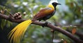 The Majestic Bird of Paradise Perched Gracefully on a Branch