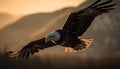 Majestic bird of prey soaring in mid air with spread wings generated by AI Royalty Free Stock Photo