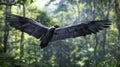 Majestic Bird Soaring Through a Lush Forest