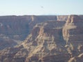 Majestic bird soaring over the stunning Arizona desert landscape featuring a breathtaking canyon