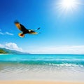 majestic bird soars above the crystal clear waters and sandy shores of a