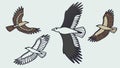 Majestic Birds Soaring: Eagle and Hawks, vector design Generative AI Royalty Free Stock Photo