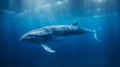 Majestic Blue Whale Swimming in Ocean Depths. Generative ai