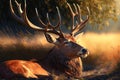 majestic buck with his head raised, basking in the warm rays of the sun