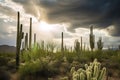 majestic cactus forest, with dramatic sky and clouds in the background