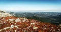 Majestic Carpathian mountains range. A view of the forested slopes of the mountains with evergreen conifers Royalty Free Stock Photo