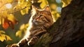 A majestic cat under tree standing tall in forest