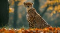 majestic cheetah, wild beauty in jungle .