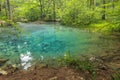 Majestic clean lake in forest,Ochiul Bei,Beusnita National Park,Romania