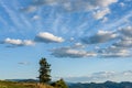 Majestic cloudscape with evergreen tree and mountain tops in background, Eastern Washington state, USA