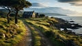 Majestic Coastal Landscapes: A Sandy Road To A House