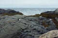 Majestic cold grey seaview with black naked cracks granite rocks and yellow seaweed with grey Arctic Ocean in cloudy weather.