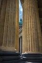 Majestic colonnade of the Kazan Cathedral