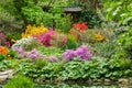 Majestic colorful rhododendron bushes blossom in japanese garden in Leverkusen