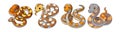 Majestic Reticulated Python Coloring Design